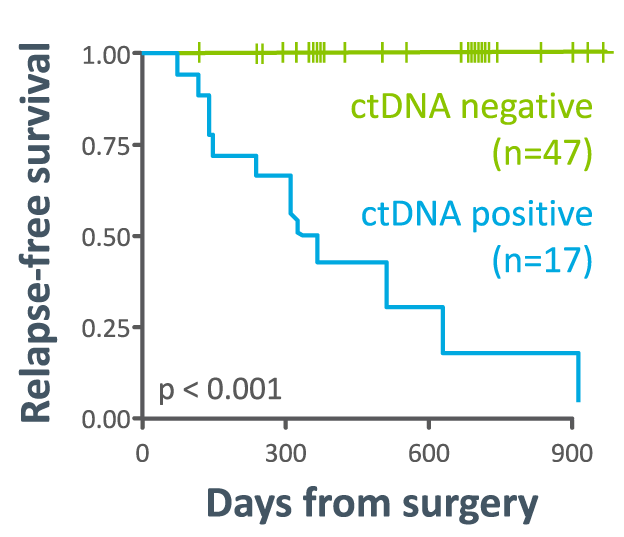 Bladder relapse-free survival Kaplan–Meier curve showing ctDNA positive vs. negative groups