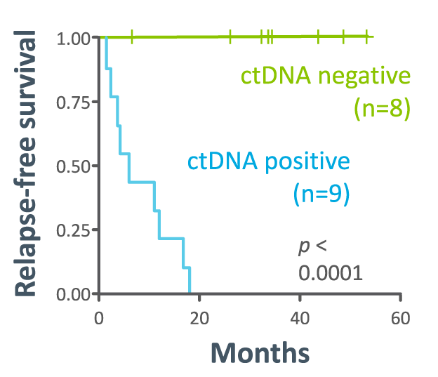 Lung relapse-free survival Kaplan–Meier curve showing ctDNA positive vs. negative groups